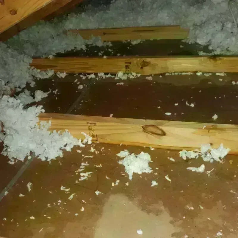 Attic Water Damage in Newton County, IN