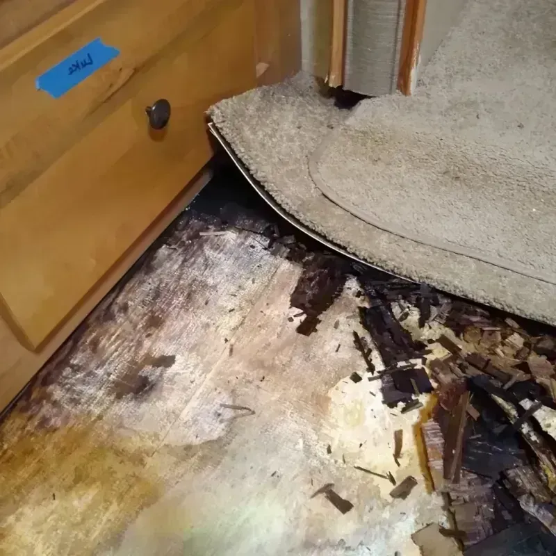 Best Wood Floor Water Damage Service in Newton County, IN